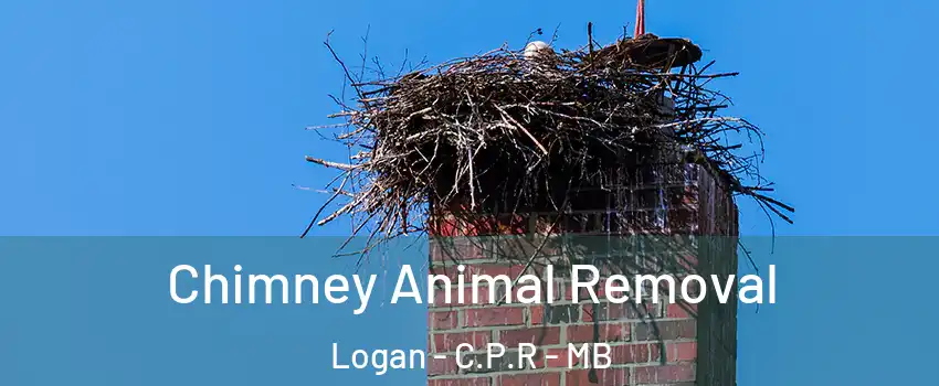 Chimney Animal Removal Logan - C.P.R - MB