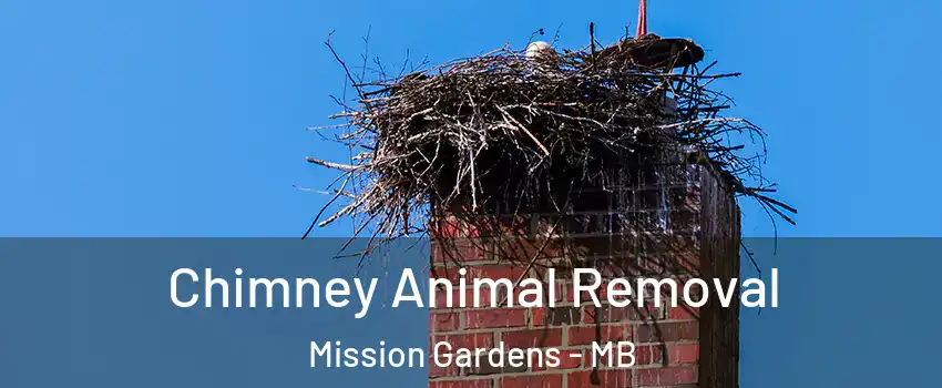 Chimney Animal Removal Mission Gardens - MB