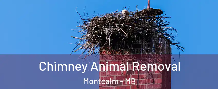 Chimney Animal Removal Montcalm - MB