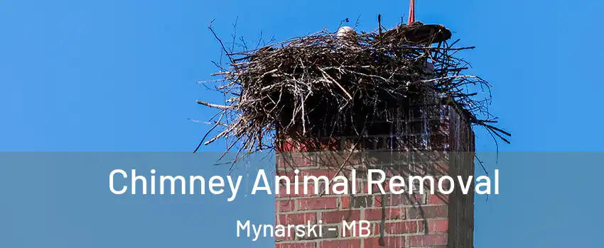 Chimney Animal Removal Mynarski - MB
