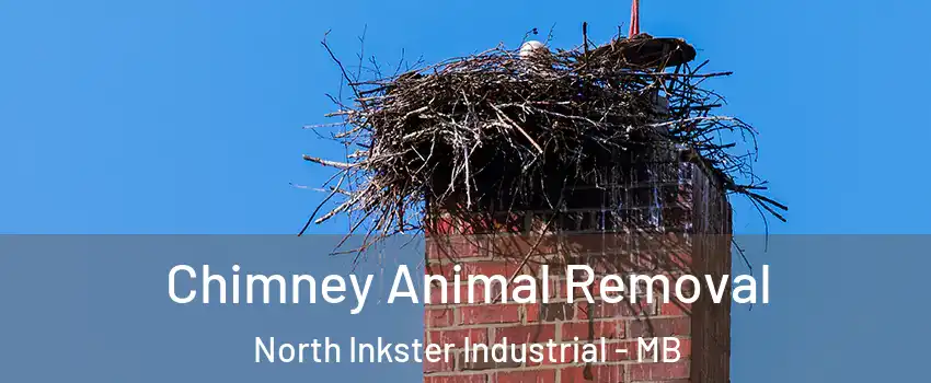 Chimney Animal Removal North Inkster Industrial - MB