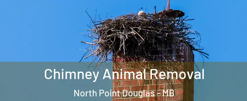 Chimney Animal Removal North Point Douglas - MB