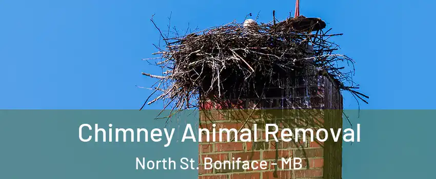 Chimney Animal Removal North St. Boniface - MB