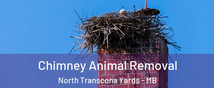 Chimney Animal Removal North Transcona Yards - MB