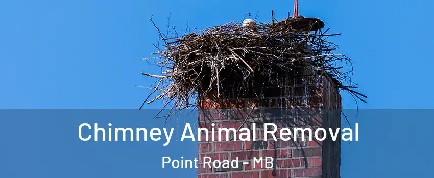  Chimney Animal Removal Point Road - MB