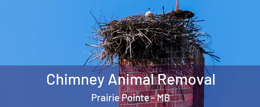 Chimney Animal Removal Prairie Pointe - MB