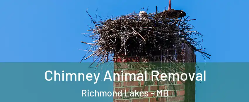 Chimney Animal Removal Richmond Lakes - MB