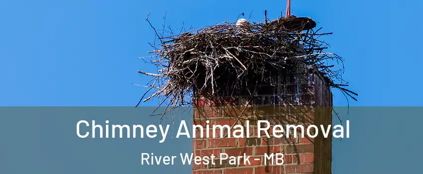 Chimney Animal Removal River West Park - MB
