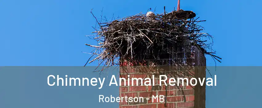 Chimney Animal Removal Robertson - MB