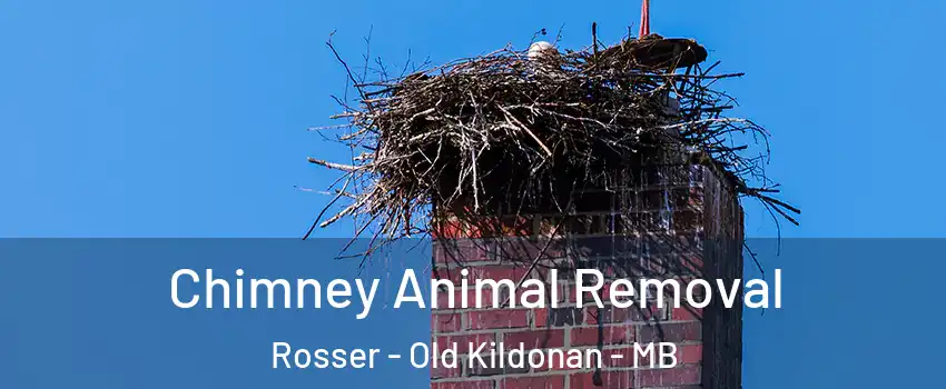 Chimney Animal Removal Rosser - Old Kildonan - MB