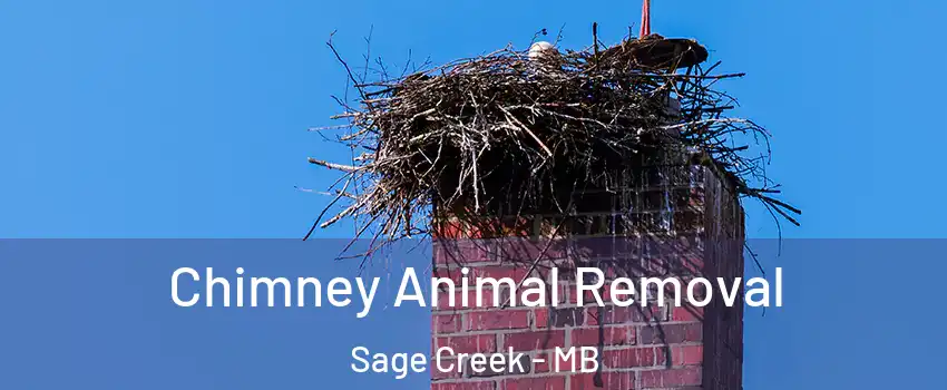 Chimney Animal Removal Sage Creek - MB