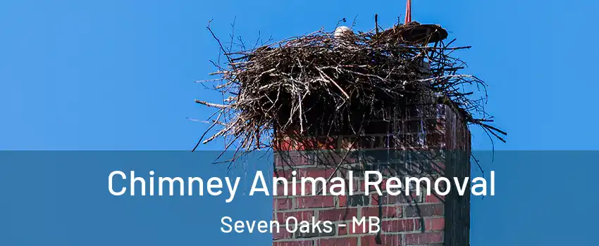  Chimney Animal Removal Seven Oaks - MB