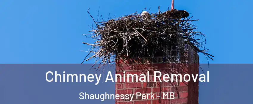 Chimney Animal Removal Shaughnessy Park - MB