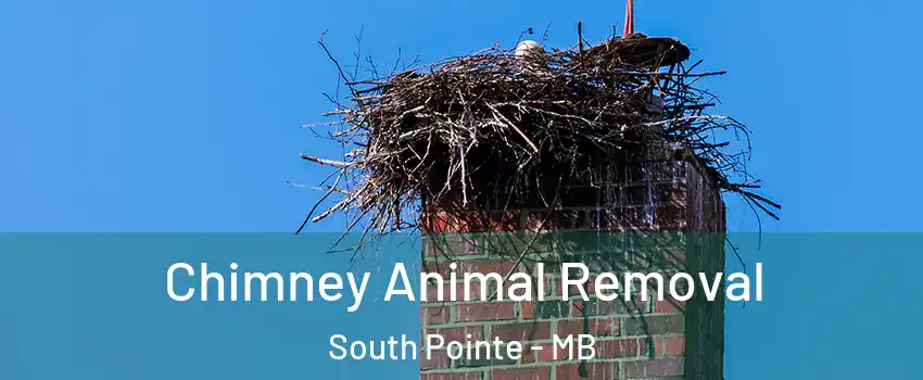 Chimney Animal Removal South Pointe - MB