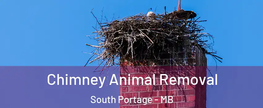  Chimney Animal Removal South Portage - MB