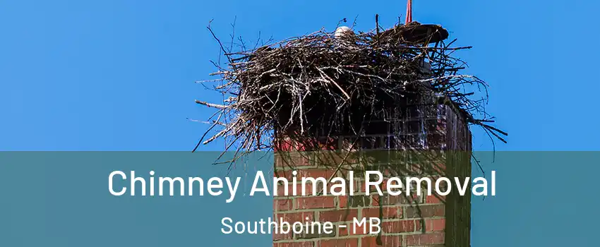 Chimney Animal Removal Southboine - MB
