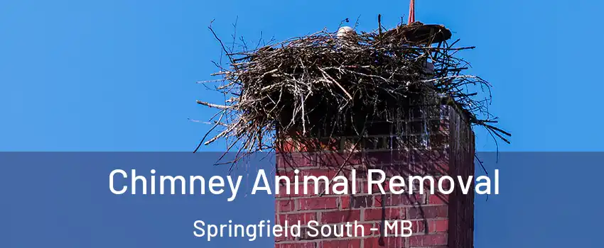 Chimney Animal Removal Springfield South - MB