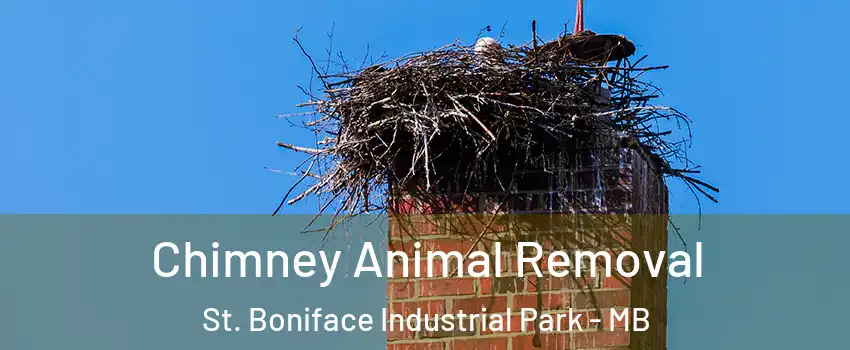  Chimney Animal Removal St. Boniface Industrial Park - MB