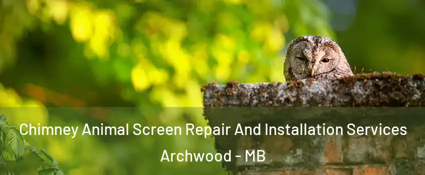  Chimney Animal Screen Repair And Installation Services Archwood - MB