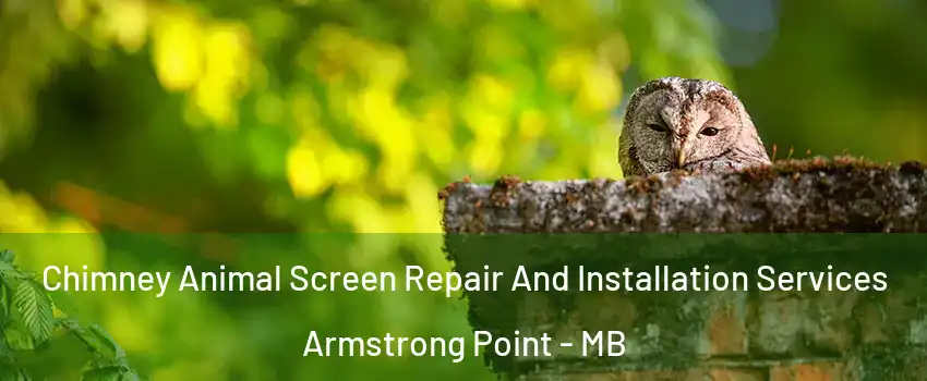  Chimney Animal Screen Repair And Installation Services Armstrong Point - MB