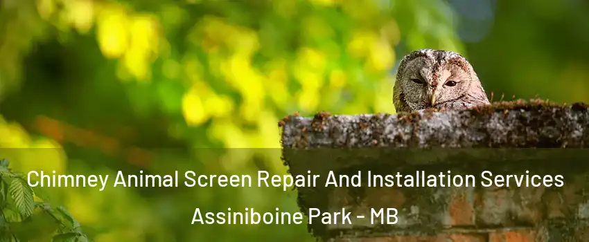  Chimney Animal Screen Repair And Installation Services Assiniboine Park - MB
