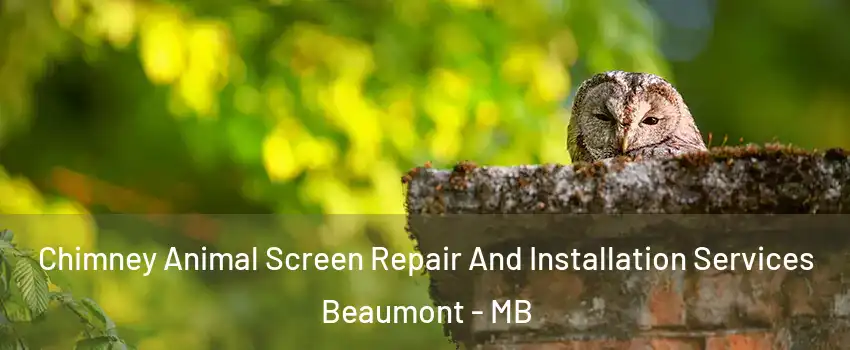  Chimney Animal Screen Repair And Installation Services Beaumont - MB