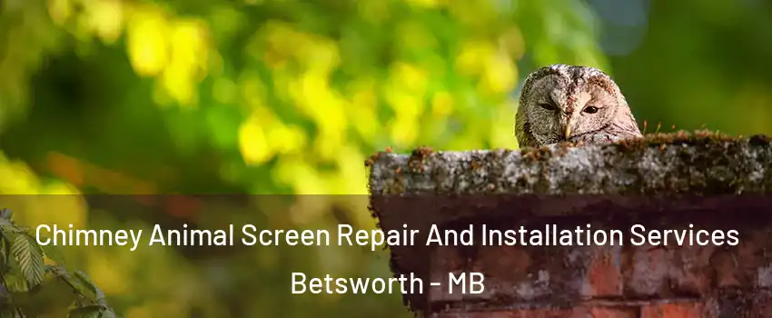  Chimney Animal Screen Repair And Installation Services Betsworth - MB