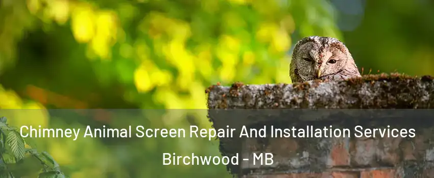  Chimney Animal Screen Repair And Installation Services Birchwood - MB