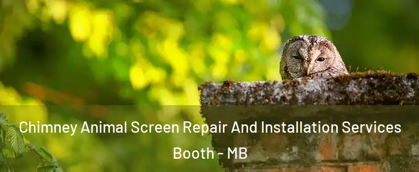  Chimney Animal Screen Repair And Installation Services Booth - MB
