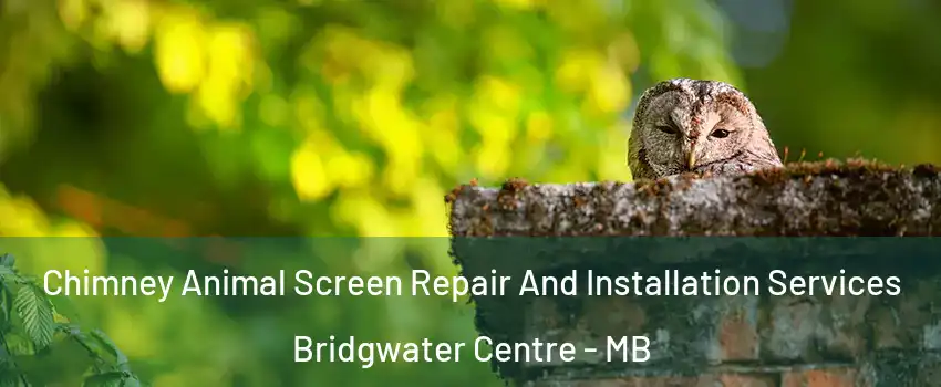  Chimney Animal Screen Repair And Installation Services Bridgwater Centre - MB