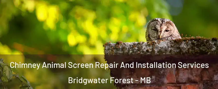  Chimney Animal Screen Repair And Installation Services Bridgwater Forest - MB