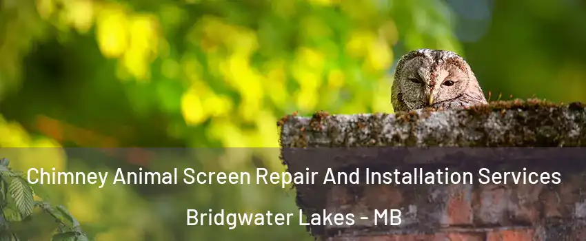  Chimney Animal Screen Repair And Installation Services Bridgwater Lakes - MB