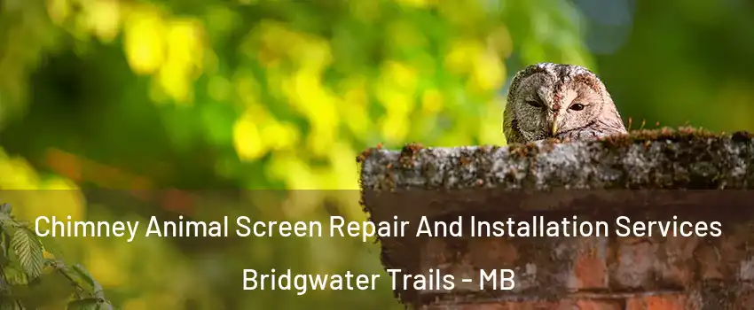  Chimney Animal Screen Repair And Installation Services Bridgwater Trails - MB