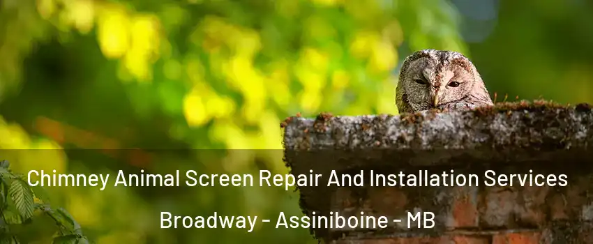  Chimney Animal Screen Repair And Installation Services Broadway - Assiniboine - MB