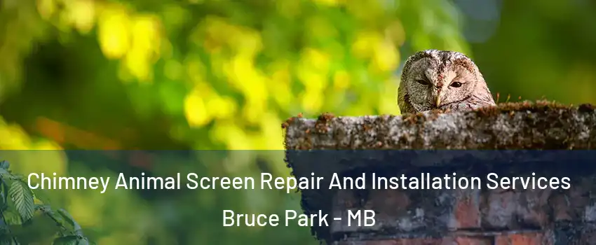  Chimney Animal Screen Repair And Installation Services Bruce Park - MB