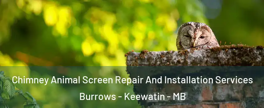  Chimney Animal Screen Repair And Installation Services Burrows - Keewatin - MB