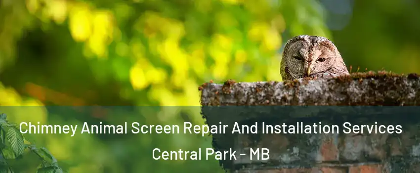  Chimney Animal Screen Repair And Installation Services Central Park - MB