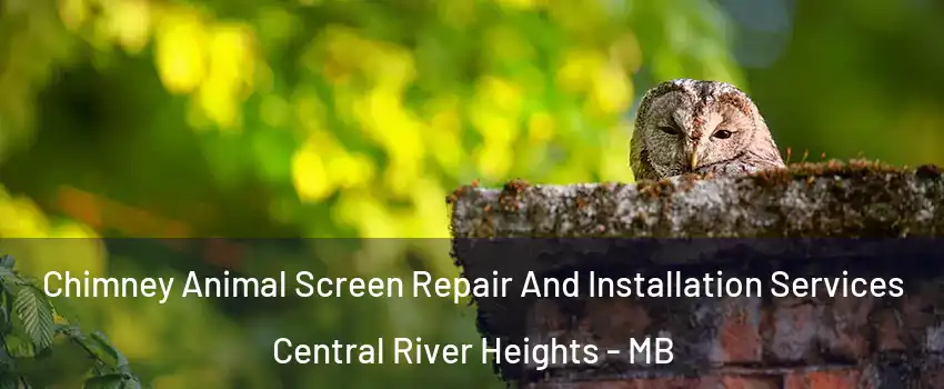  Chimney Animal Screen Repair And Installation Services Central River Heights - MB
