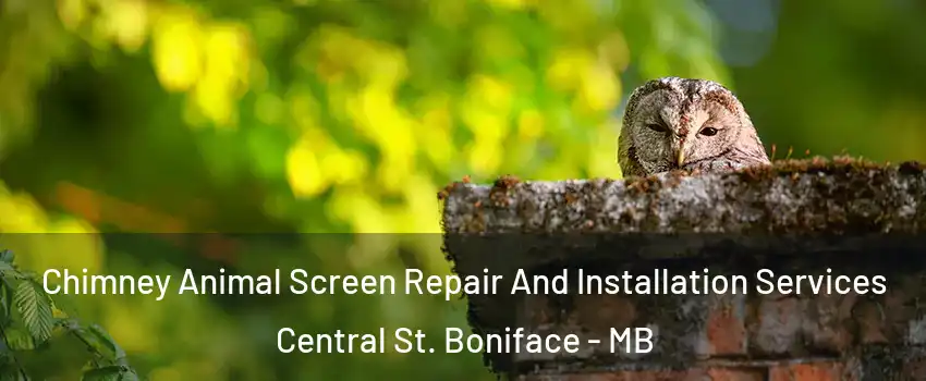  Chimney Animal Screen Repair And Installation Services Central St. Boniface - MB
