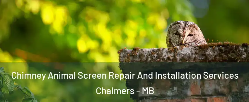  Chimney Animal Screen Repair And Installation Services Chalmers - MB