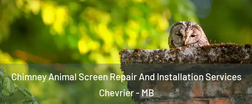  Chimney Animal Screen Repair And Installation Services Chevrier - MB