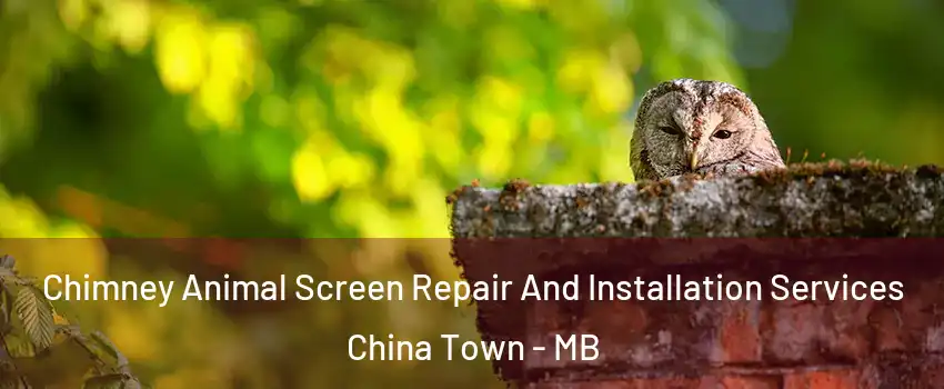  Chimney Animal Screen Repair And Installation Services China Town - MB