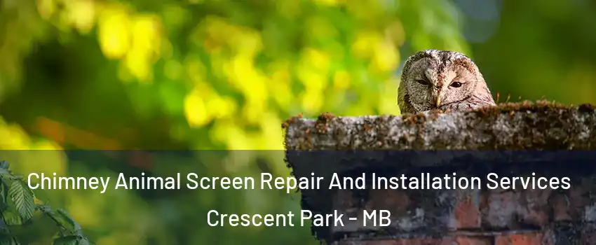 Chimney Animal Screen Repair And Installation Services Crescent Park - MB