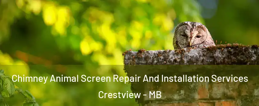  Chimney Animal Screen Repair And Installation Services Crestview - MB