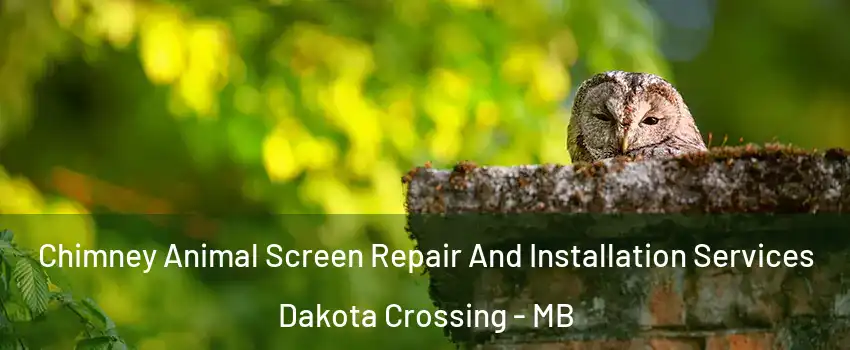  Chimney Animal Screen Repair And Installation Services Dakota Crossing - MB