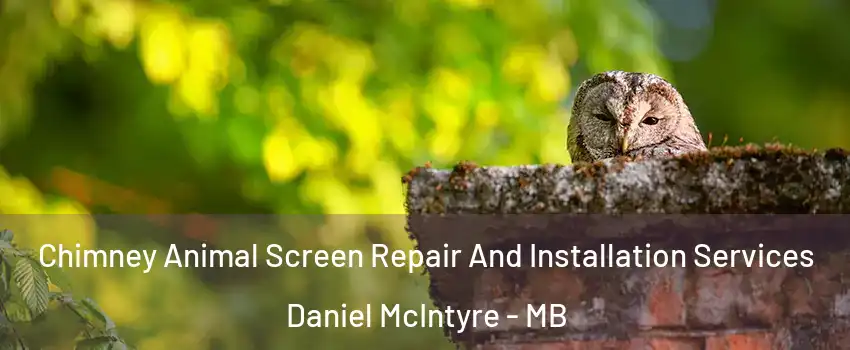  Chimney Animal Screen Repair And Installation Services Daniel McIntyre - MB