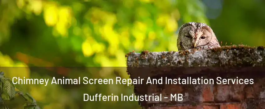  Chimney Animal Screen Repair And Installation Services Dufferin Industrial - MB