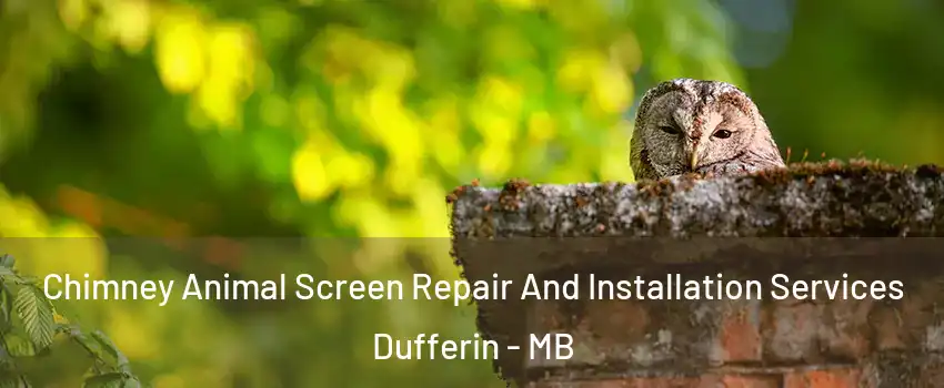  Chimney Animal Screen Repair And Installation Services Dufferin - MB