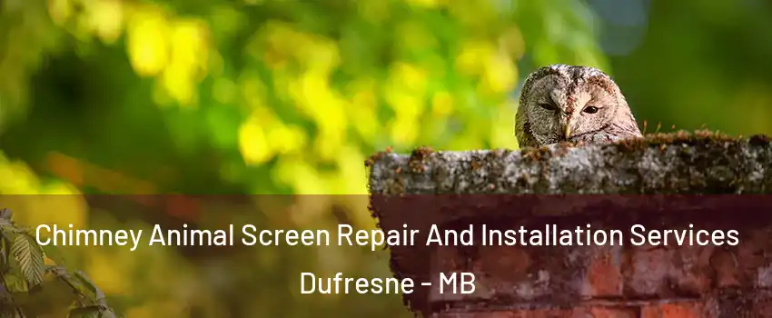  Chimney Animal Screen Repair And Installation Services Dufresne - MB