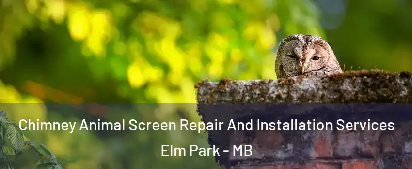  Chimney Animal Screen Repair And Installation Services Elm Park - MB
